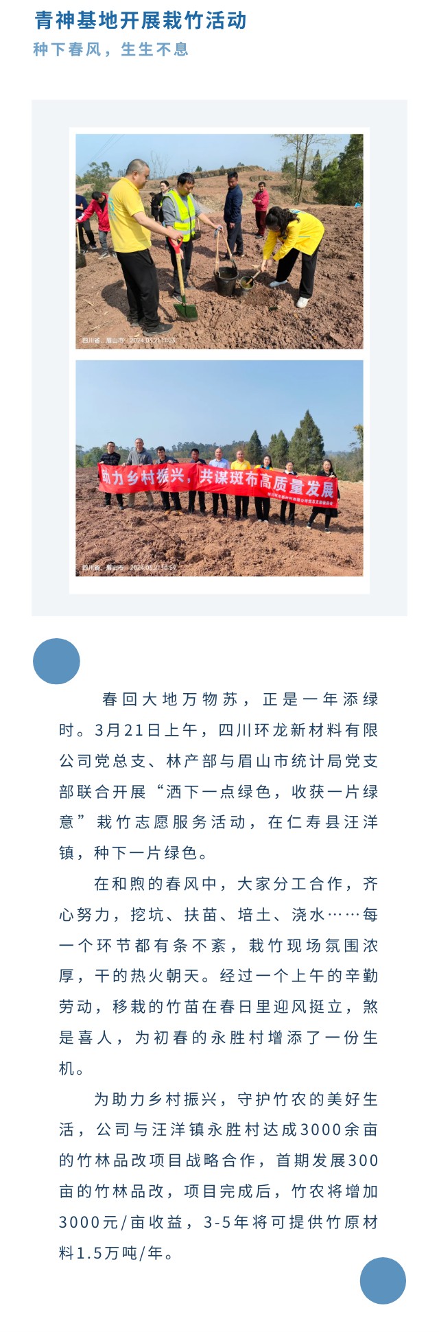 种竹子.jpg