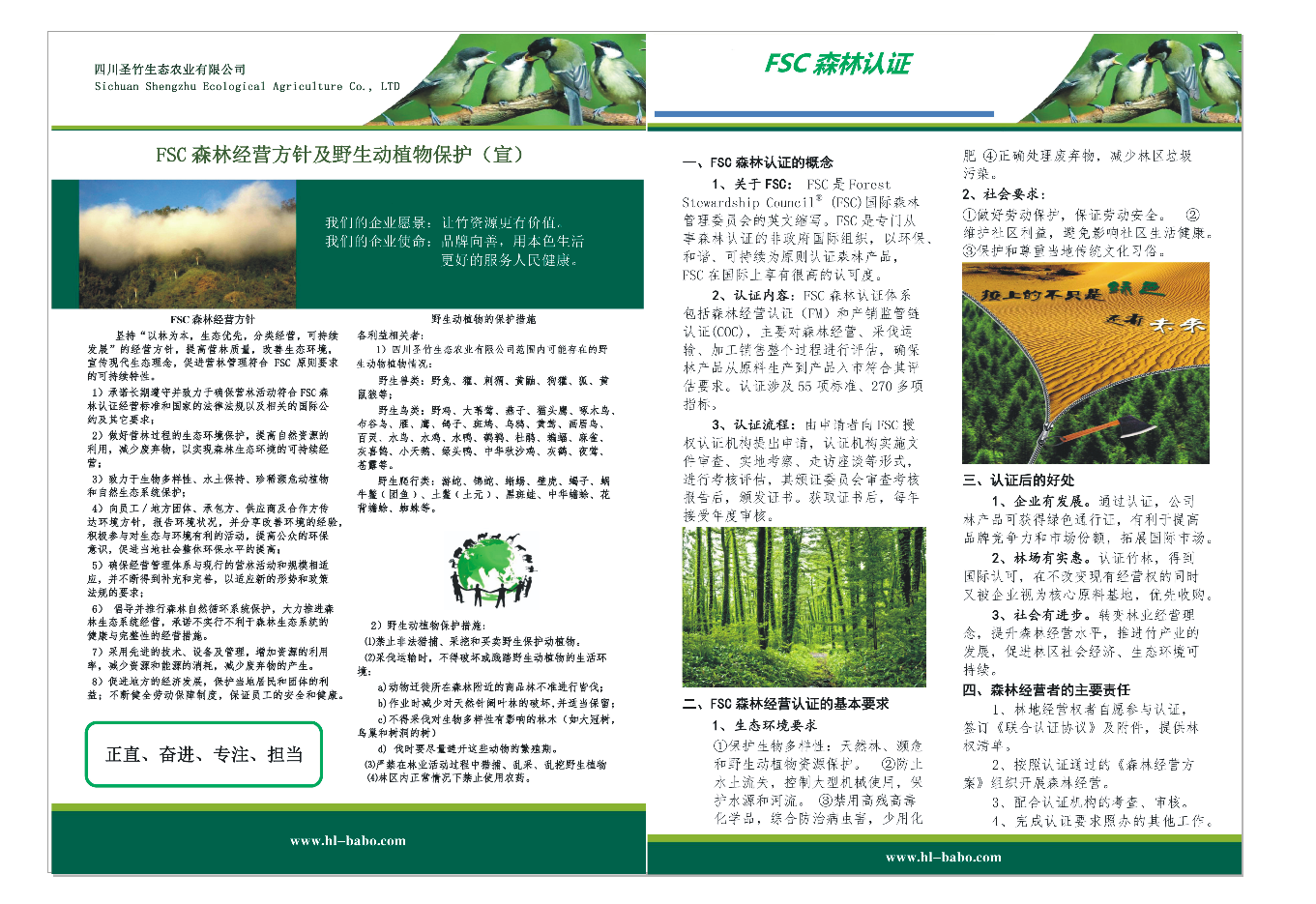 森林经营方针政策.png